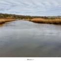 the river ARUN 2 - Malcolm Oakley